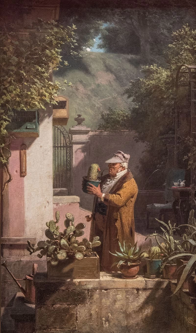 L'amico cactus - Schweinfurt, Sammlung Georg Schäfer